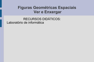 Figuras Geométricas Espaciais
Ver e Enxergar
RECURSOS DIDÁTICOS:
Laboratório de informática
 