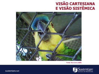 sustentare
Fonte: Ana Laura (ABS)
VISÃO CARTESIANA
E VISÃO SISTÊMICA
 