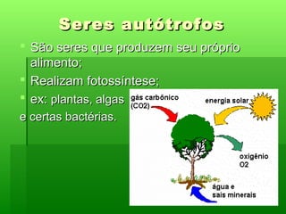 Seres Vivos Necessitam de Alimento | PPT