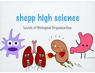 shepp high science 
Levels of Biological Organisation 
 