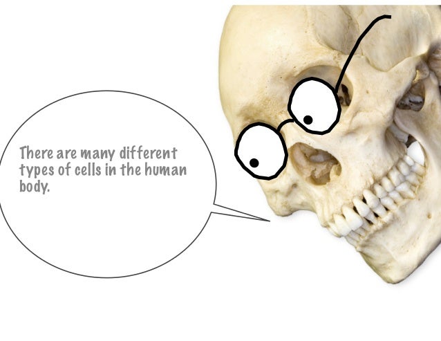 Levels of Biological Organisation 3