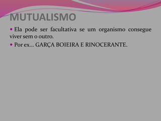 MUTUALISMO
 Ela pode ser facultativa se um organismo consegue
viver sem o outro.
 Por ex... GARÇA BOIEIRA E RINOCERANTE.
 