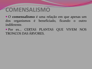 COMENSALISMO
 O comensalismo é uma relação em que apenas um
dos organismos é beneficiado, ficando o outro
indiferente.
 Por ex... CERTAS PLANTAS QUE VIVEM NOS
TRONCOS DAS ÁRVORES.
 