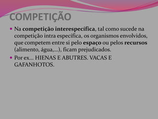 COMPETIÇÃO
 Na competição interespecífica, tal como sucede na
competição intra específica, os organismos envolvidos,
que competem entre si pelo espaço ou pelos recursos
(alimento, água,…), ficam prejudicados.
 Por ex... HIENAS E ABUTRES. VACAS E
GAFANHOTOS.
 