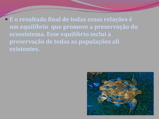  E o resultado final de todas essas relações é
um equilíbrio que promove a preservação do
ecossistema. Esse equilíbrio inclui a
preservação de todas as populações ali
existentes.
 