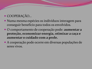  COOPERAÇÃO...
 Numa mesma espécies os indivíduos interagem para
conseguir benefício para todos os envolvidos.
 O comportamento de cooperação pode: aumentar a
proteção, economizar energia, otimizar a caça e
aumentar o cuidado com a prole.
 A cooperação pode ocorre em diversas populações de
seres vivos.
 