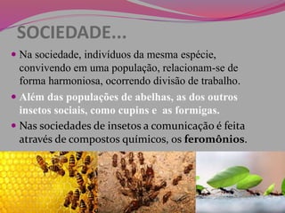 SOCIEDADE...
 Na sociedade, indivíduos da mesma espécie,
convivendo em uma população, relacionam-se de
forma harmoniosa, ocorrendo divisão de trabalho.
 Além das populações de abelhas, as dos outros
insetos sociais, como cupins e as formigas.
 Nas sociedades de insetos a comunicação é feita
através de compostos químicos, os feromônios.
 