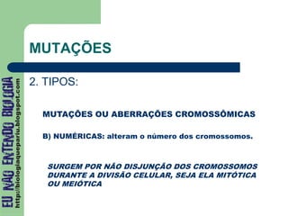 MUTAÇÕES
2. TIPOS:
MUTAÇÕES OU ABERRAÇÕES CROMOSSÔMICAS
B) NUMÉRICAS: alteram o número dos cromossomos.
SURGEM POR NÃO DISJUNÇÃO DOS CROMOSSOMOS
DURANTE A DIVISÃO CELULAR, SEJA ELA MITÓTICA
OU MEIÓTICA
 