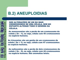 B.2) ANEUPLOIDIAS
SÃO ALTERACÕES DE UM OU MAIS
CROMOSSOMOS DE UMA CÉLULA, SEM NO
ENTANTO ALTERAR TODO O GENOMA DA
CÉLULA.
As monossomias são a perda de um cromossomo da
celula ( 2n – 1), ou seja, célula com 45 cromossomos
na espécie humana.
As trissomias são um ganho de um cromossomo da
celula ( 2n + 1), ou seja, célula com 47 cromossomos
na espécie humana.
As nulissomias são a perda de dois cromossomos da
celula ( 2n – 2), ou seja, célula com 44 cromossomos
na espécie humana. São anomalias letais.
 