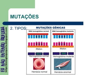 MUTAÇÕES
2. TIPOS: MUTAÇÕES GÊNICAS
 