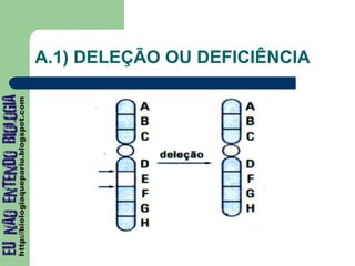 A.1) DELEÇÃO OU DEFICIÊNCIA
 