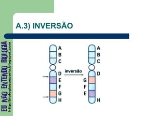 A.3) INVERSÃO
 