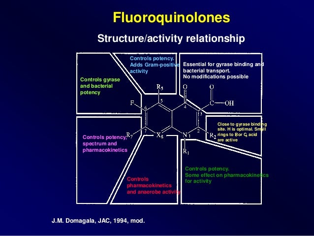 Levaquin Dosing For Pneumonia