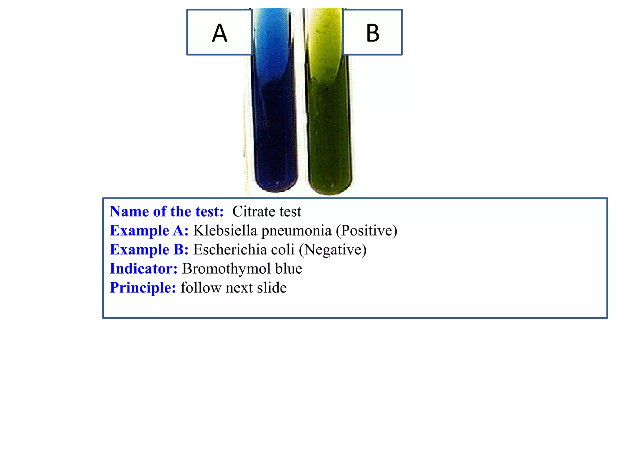 Name of the test: Citrate test 
Example A: Klebsiella pneumonia (Positive) 
Example B: Escherichia coli (Negative) 
Indicator: Bromothymol blue 
Principle: follow next slide 
A 
B  