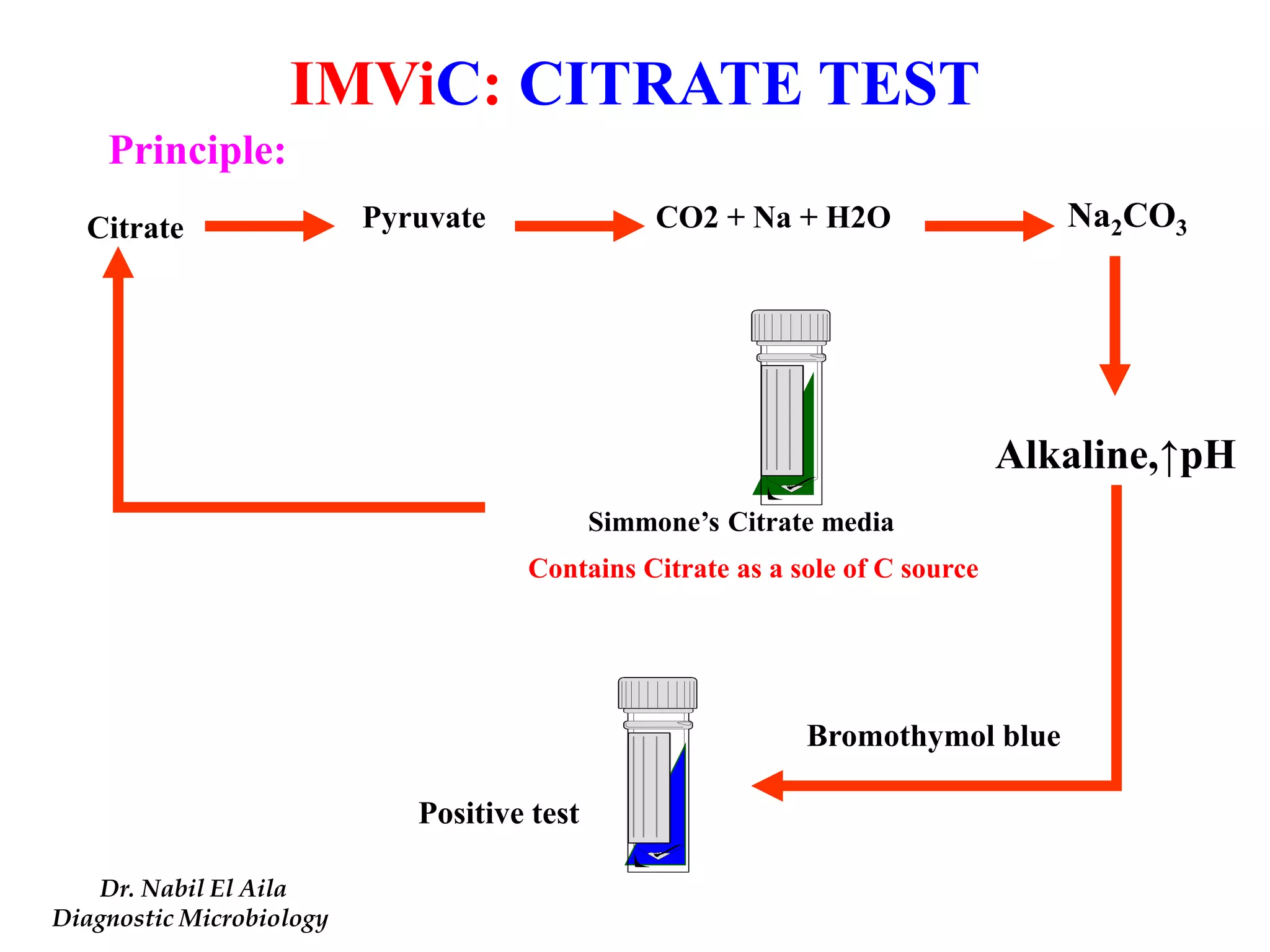 Principle: 
Citrate Na2CO3 
Alkaline,↑pH 
Bromothymol blue 
Simmone’s Citrate media 
Pyruvate CO2 + Na + H2O 
Positive test 
Contains Citrate as a sole of C source 
IMViC: CITRATE TEST 
Dr. Nabil El Aila 
Diagnostic Microbiology 
 