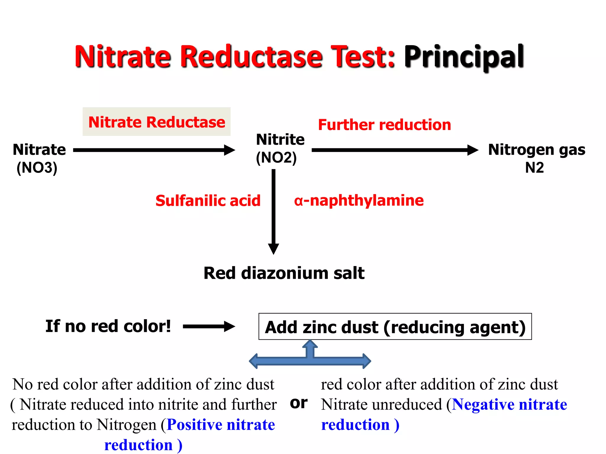Nitrate Reductase Test: Principal 
Nitrate 
(NO3) 
Nitrate reductase 
Nitrite 
(NO2) 
α-naphthylamine 
Sulfanilic acid 
Red diazonium salt 
If no red color! 
Further reduction 
Nitrogen gas 
N2 
Add zinc dust (reducing agent) 
Nitrate Reductase 
No red color after addition of zinc dust 
( Nitrate reduced into nitrite and further reduction to Nitrogen (Positive nitrate reduction ) 
or 
red color after addition of zinc dust Nitrate unreduced (Negative nitrate reduction )  