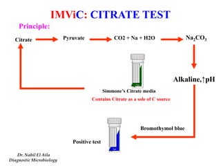 Principle: 
Citrate Na2CO3 
Alkaline,↑pH 
Bromothymol blue 
Simmone’s Citrate media 
Pyruvate CO2 + Na + H2O 
Positive test 
Contains Citrate as a sole of C source 
IMViC: CITRATE TEST 
Dr. Nabil El Aila 
Diagnostic Microbiology 
 