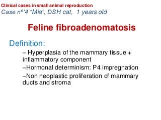 Definition:
– Hyperplasia of the mammary tissue +
inflammatory component
–Hormonal determinism: P4 impregnation
–Non neoplastic proliferation of mammary
ducts and stroma
Clinical cases in small animal reproduction
Case nº’4 “Mia”, DSH cat, 1 years old
Feline fibroadenomatosis
 