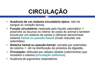 CIRCULAÇÃO
• Ausência de um sistema circulatório típico: não há
sangue ou coração típicos.
• Função circulatória: realizada pelo líquido celomático 
preenche as lacunas no interior do corpo do animal e também
circula por um sistema de canais e câmaras denominado
sistema hemal ou pseudo-hemal (muito reduzido nos
asteróides).
• Sistema hemal ou pseudo-hemal: cercado por extensões
do celoma  útil na distribuição de produtos da digestão.
• Circulação: efetuada por células ciliadas (celomócitos) que
revestem o celoma (circulação celômica).
• Ausência de pigmentos respiratórios.
 