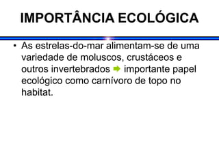 IMPORTÂNCIA ECOLÓGICA
• As estrelas-do-mar alimentam-se de uma
variedade de moluscos, crustáceos e
outros invertebrados  importante papel
ecológico como carnívoro de topo no
habitat.
 