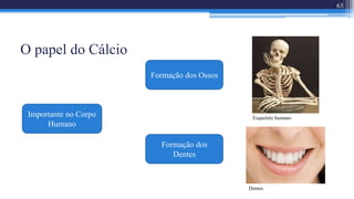 O papel do Cálcio
63
Importante no Corpo
Humano
Formação dos Ossos
Formação dos
Dentes
Esqueleto humano
Dentes
 