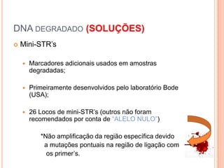 DNA degradado (SOLUÇÕES)Mini-STR’sMarcadores adicionais usados em amostras degradadas;Primeiramente desenvolvidos pelo laboratório Bode (USA);26 Locos de mini-STR’s(outros não foram recomendados por conta de “ALELO NULO”)          *Não amplificação da região específica devido           a mutações pontuais na região de ligação com            os primer’s.