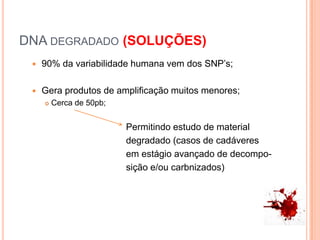 DNA degradado (SOLUÇÕES)90% da variabilidade humana vem dos SNP’s;Gera produtos de amplificação muitos menores;Cerca de 50pb;                                    Permitindo estudo de material                                    degradado (casos de cadáveres                                   em estágio avançado de decompo-sição e/ou carbnizados)