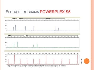 EletroferogramaPOWERPLEX S5 http://www.promega.com/products/genetic-identity/str-analysis/powerplex-s5-system/