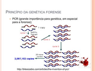 Princípio da genética forensePCR (grande importância para genética, em especial para a forense);http://bitesizebio.com/articles/the-invention-of-pcr/