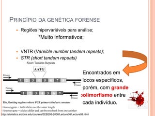 Princípio da genética forenseRegiões hipervariáveis para análise;                  *Muito informativos;VNTR (Vareiblenumber tandem repeats);STR (short tandem repeats)                                                  Encontrados em                                                  locos específicos,                                                  porém, com grande                                                 polimorfismo entre                                                  cada indivíduo.http://statistics.arizona.edu/courses/EEB208-2008/Lecture08/Lecture08.html