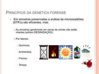 Princípios da genética forense Em amostras preservadas a análise de microssatélites (STR’s) são eficientes, mas:As amostras geralmente em cenas de crimes não estão intactas (sofrem DEGRADAÇÃO);Por fatores:Químicos;Ambientais;Físicos;Tempo;