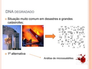 DNA degradadoSituação muito comum em desastres e grandes catástrofes;1ª alternativa Análise de microssatélites