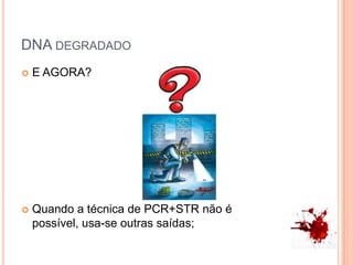 DNA degradadoE AGORA?Quando a técnica de PCR+STR não é possível, usa-se outras saídas;