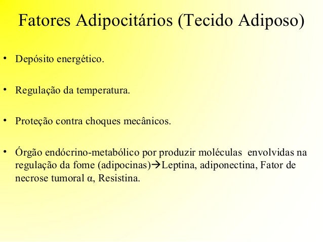 Controle neuroendócrino da fome Controle neuroendócrino da fome