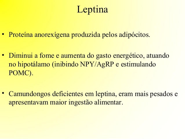 Controle neuroendócrino da fome Controle neuroendócrino da fome