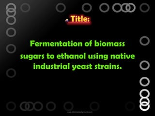 Fermentation of biomass
sugars to ethanol using native
industrial yeast strains.

 