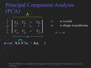 Principal Component Analysis (PCA) A n 2 # voxels m # shape transforms n 2  >>  m Turk, M.  Pentland, A., 'Eigenfaces for Recognition', Journal of Cognitive Neuroscience , vol. 3, no. 1, 71-86 (1991).  A T A n 2   ×   n 2 m   ×   m (  ) u i = A (  ) λ i u i n 2 m A Г 0,0 1 ••• ••• Г 0,0 2 Г 0,0 m ••• ••• ••• ••• Г 1 n,n n,n Г 2 n,n Г m 