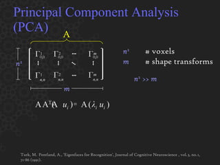 Principal Component Analysis (PCA) = A T A A u i A n 2 # voxels m # shape transforms n 2  >>  m Turk, M.  Pentland, A., 'Eigenfaces for Recognition', Journal of Cognitive Neuroscience , vol. 3, no. 1, 71-86 (1991).  (  ) λ i u i (  ) n 2 m A Г 0,0 1 ••• ••• Г 0,0 2 Г 0,0 m ••• ••• ••• ••• Г 1 n,n n,n Г 2 n,n Г m 