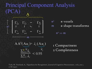 Principal Component Analysis (PCA) = A u i A n 2 # voxels m # shape transforms n 2  >>  m Turk, M.  Pentland, A., 'Eigenfaces for Recognition', Journal of Cognitive Neuroscience , vol. 3, no. 1, 71-86 (1991).  1 Compactness 2 Completeness (  ) λ i u i v i v i A T A (  ) Σ k i =1   λ   i  Σ m i =1   λ   i  < 0.95 n 2 m A Г 0,0 1 ••• ••• Г 0,0 2 Г 0,0 m ••• ••• ••• ••• Г 1 n,n n,n Г 2 n,n Г m 