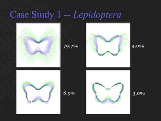 Case Study 1 --  Lepidoptera 79.7% 8.9% 4.0% 3.0% 