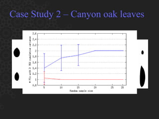 Case Study 2 – Canyon oak leaves 