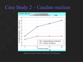Case Study 2 – Caudate nucleus Digital Anatomist Project, University of Washington 