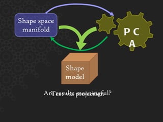 Are results meaningful? PCA Test via projection Shape space manifold Shape model 