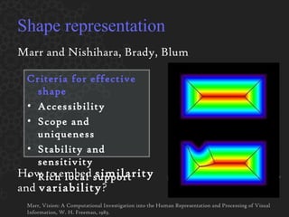 Shape representation Marr and Nishihara, Brady, Blum Criteria for effective shape Accessibility Scope and uniqueness Stability and sensitivity Rich local support Marr, Vision: A Computational Investigation into the Human Representation and Processing of Visual Information, W. H. Freeman, 1983. How to embed  similarity  and  variability ? Minimal Trefoil by Carlo H. S é quin Stanford bunny Cephea jellyfish http://www.flickr.com/photos/tanaka_juuyoh/ 