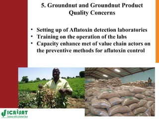 ICRISAT Nigeria research and development activities in sorghum and groundnut
