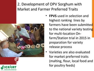 ICRISAT Nigeria research and development activities in sorghum and groundnut