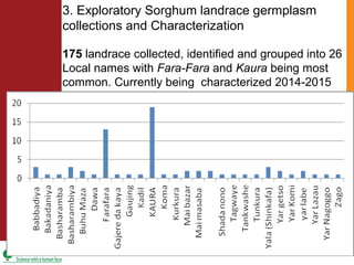 ICRISAT Nigeria research and development activities in sorghum and groundnut