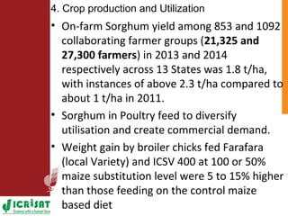 ICRISAT Nigeria research and development activities in sorghum and groundnut