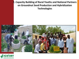 ICRISAT Nigeria research and development activities in sorghum and groundnut