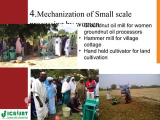 ICRISAT Nigeria research and development activities in sorghum and groundnut